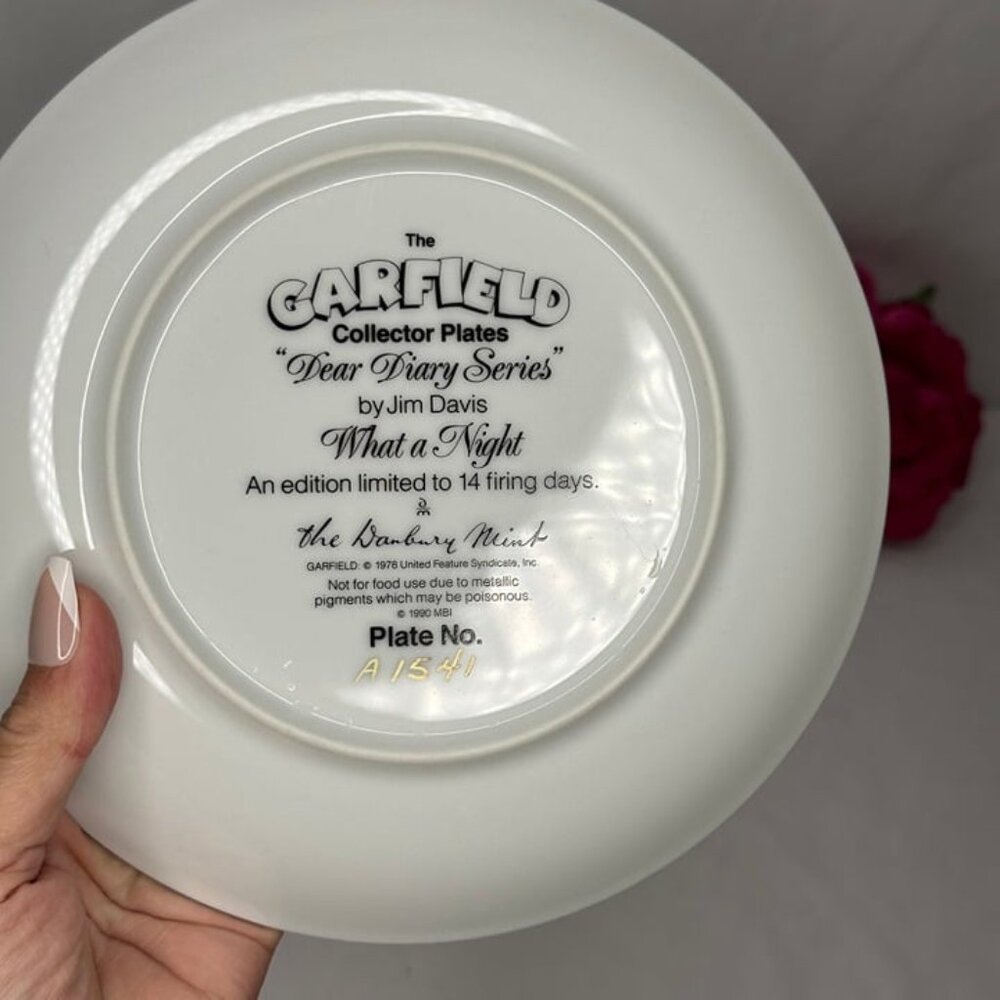 Vintage The Garfield Collectors Plates "Dear Diary Series" What a Night - Picture 4 of 6